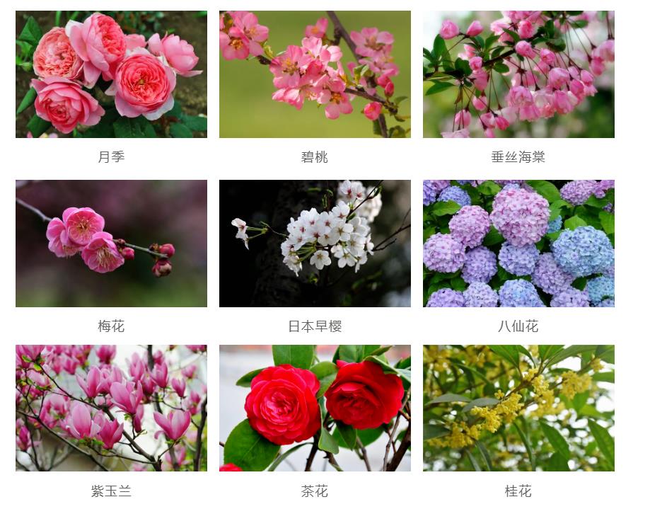 園林景觀工程如何節約成本？